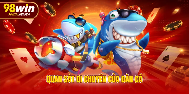 Quan sát di chuyển của đàn cá
